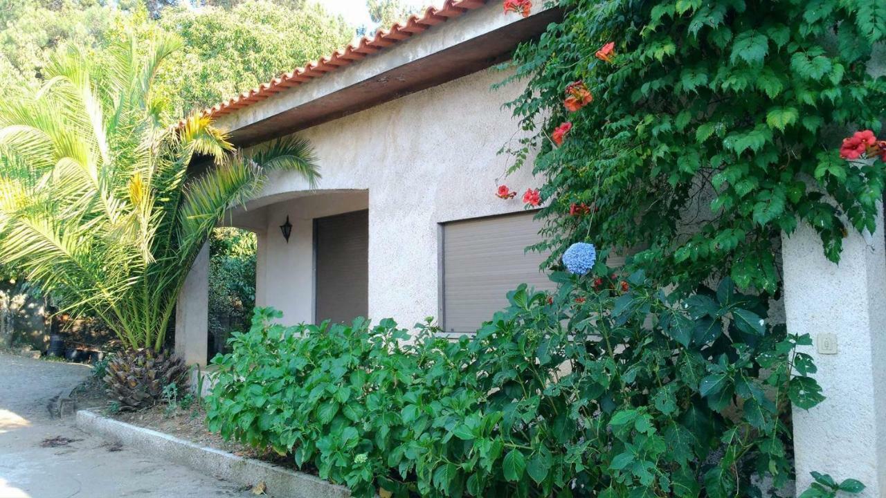 Villa Casa Deus à Sabrosa Extérieur photo